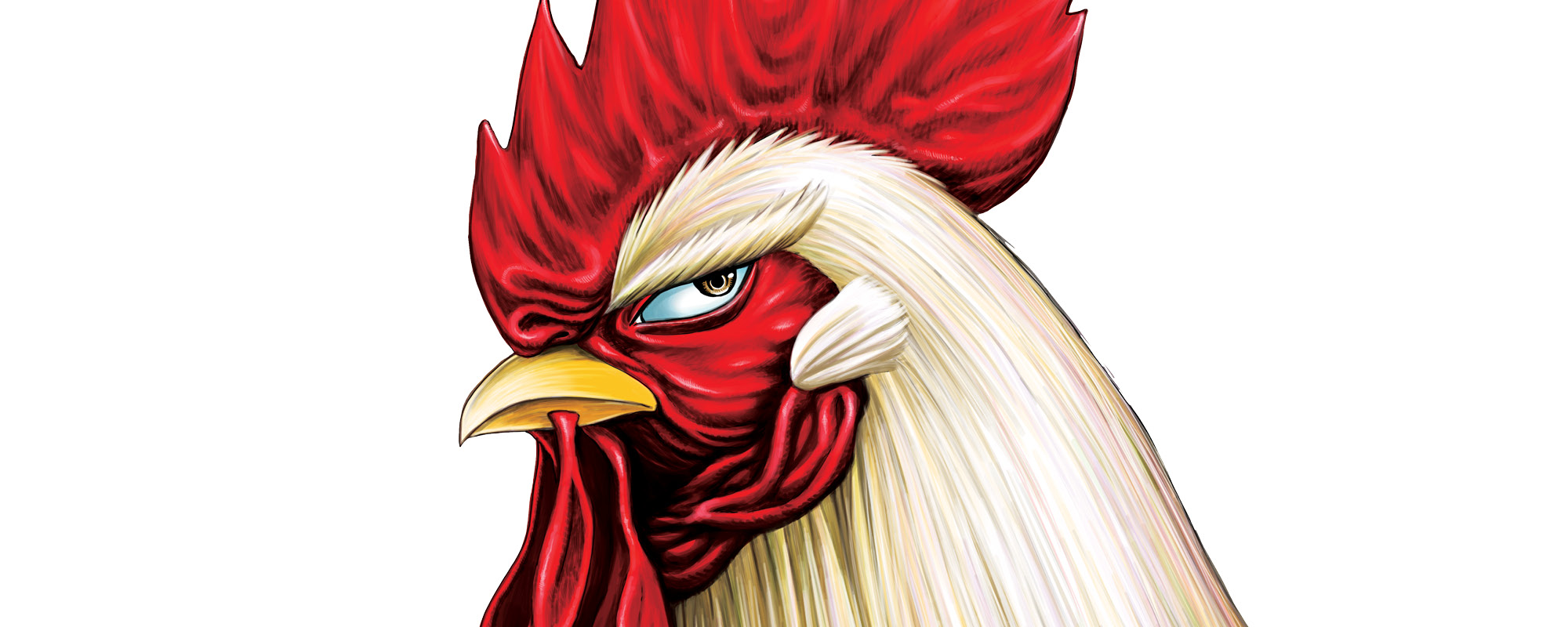 Imagen principal de Rooster Fighter ya definio su estreno en Toonami y Disney+ para parte de Latinoamerica